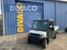 D-Line DV-2XCL Golfcart mit Straßenzulassung